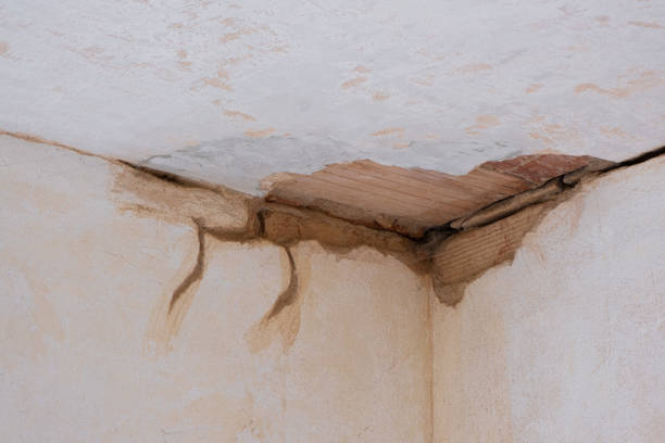 Best Flood damage cleanup  in Central High, OK