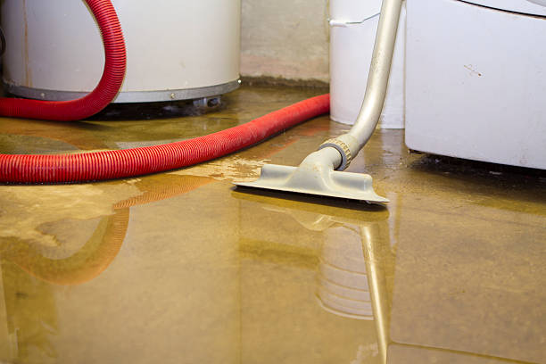Best 24/7 water damage repair  in Central High, OK